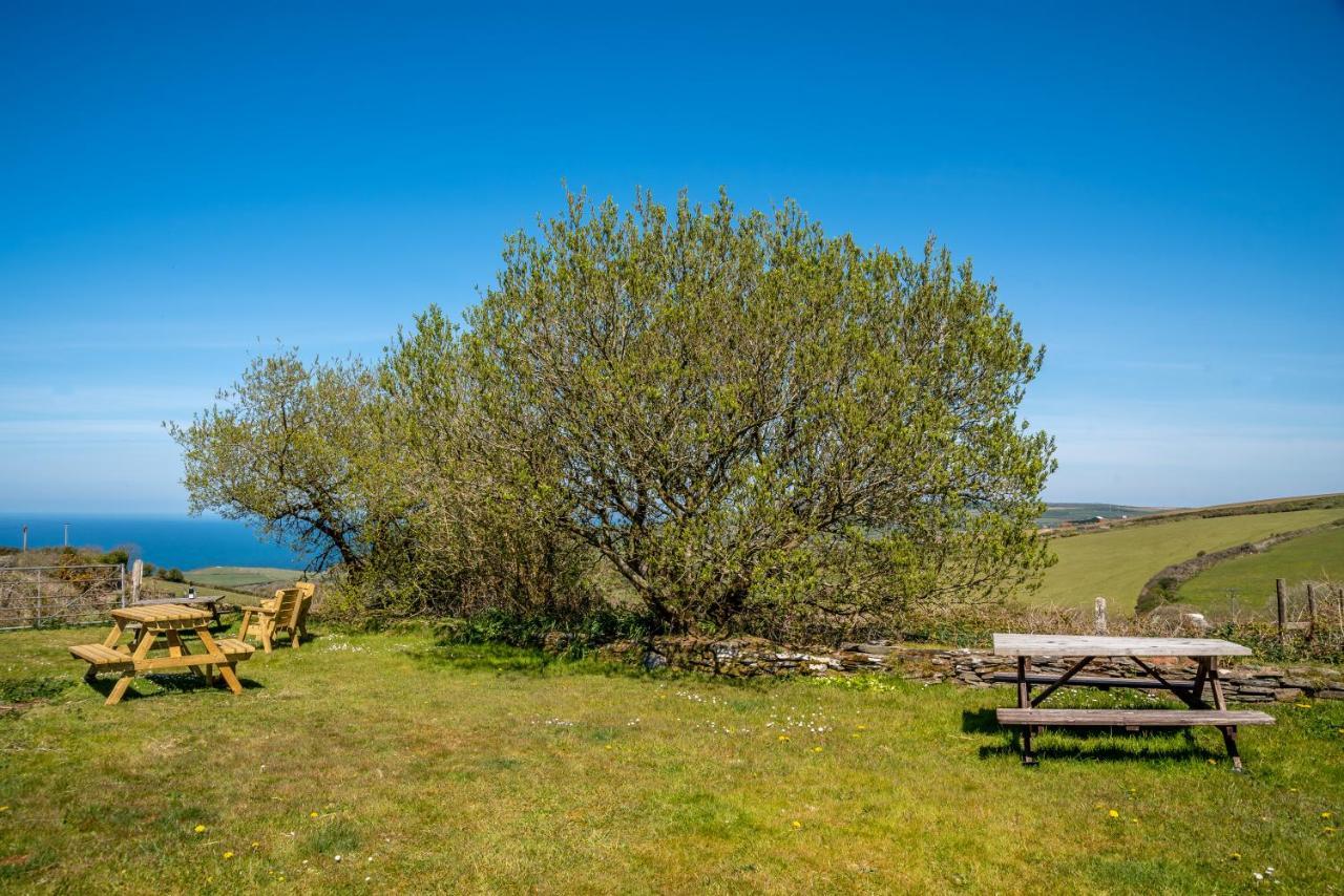 בוסקאסל Polrunny Farm Seaberry Cottage With A Sea View And Log Burner מראה חיצוני תמונה