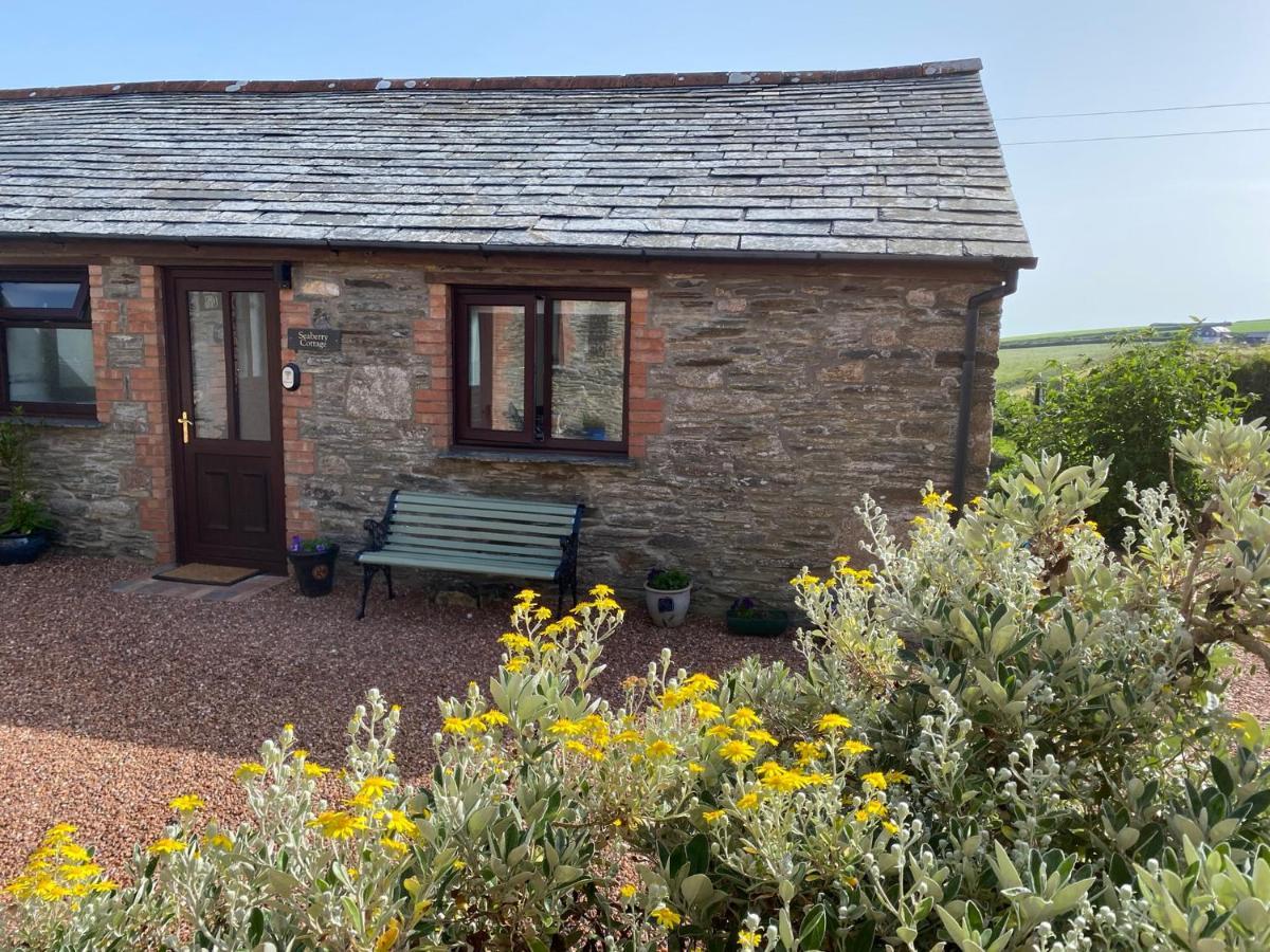 בוסקאסל Polrunny Farm Seaberry Cottage With A Sea View And Log Burner מראה חיצוני תמונה